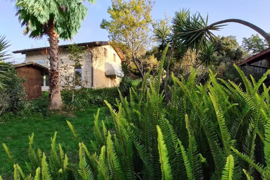 Villa Neli, Palazzolo Acreide, Siracusa, Hot Tub, Wi-Fi & Parking Exterior foto